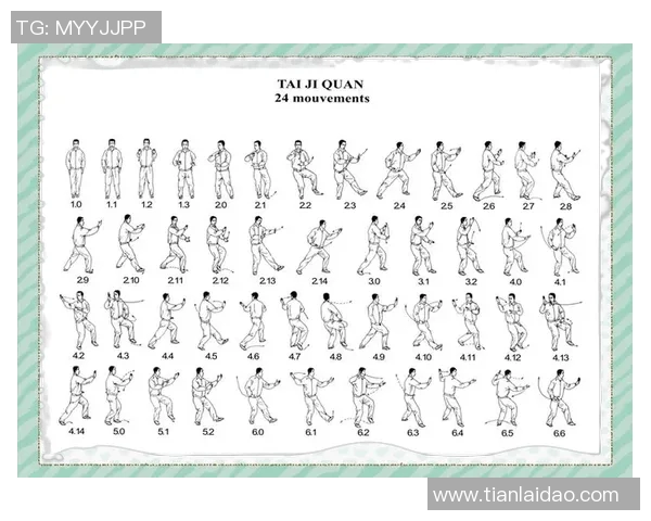 陈氏二十四式太极拳教学视频全解析助你轻松掌握太极拳的精髓与技巧