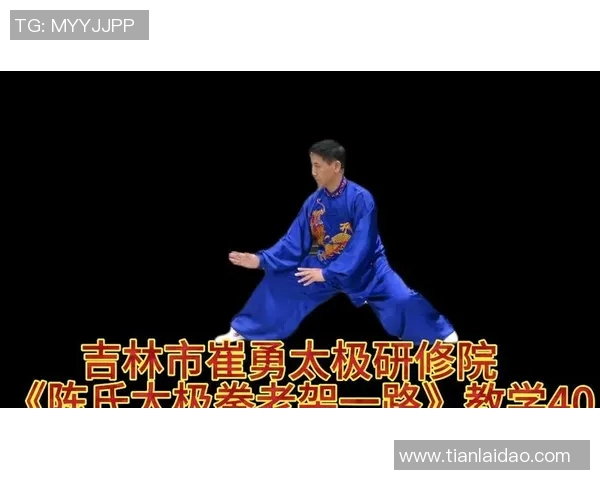 传承与创新陈氏老架一路太极拳的精髓与发展之路