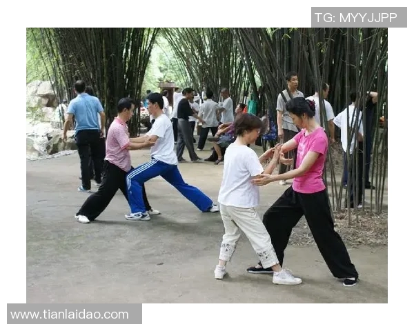 太极拳推手的奥秘与技巧探索在身心合一中的应用与实践
